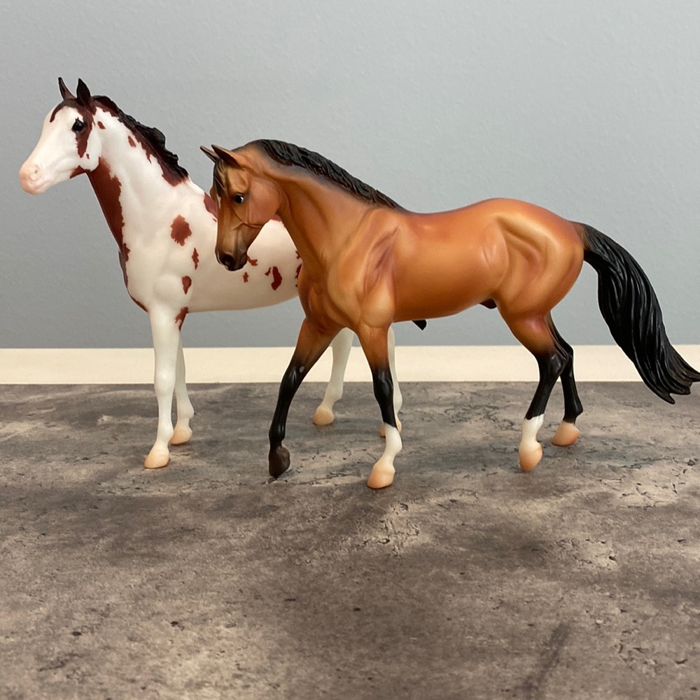 Breyer Breyerfest 2016 Tschiffely's Ride